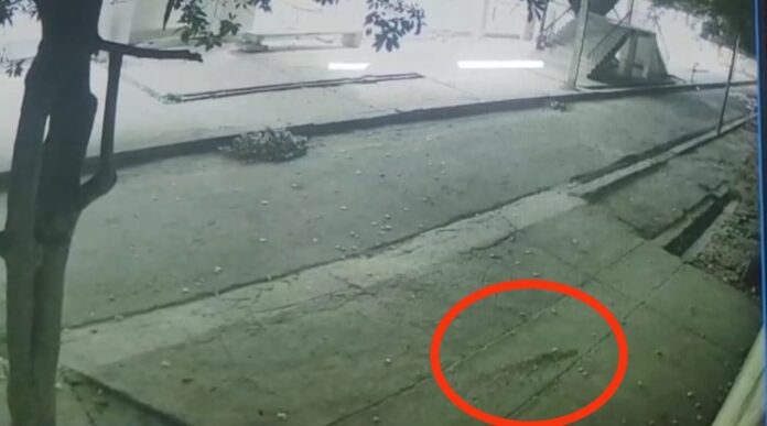 CCTV footage claiming to have spotted the leopard