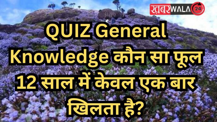 QUIZ General Knowledge