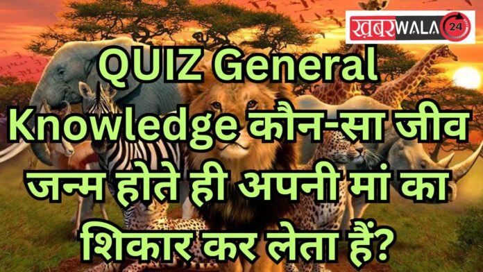 QUIZ General Knowledge