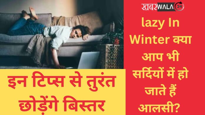 lazy In Winter