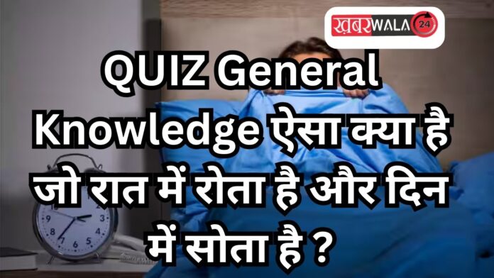 QUIZ General Knowledge