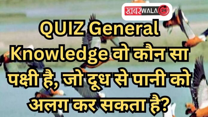 QUIZ General Knowledge