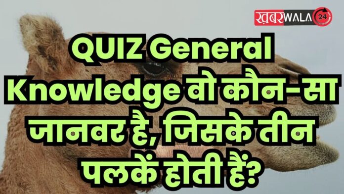 QUIZ General Knowledge