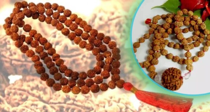 Rudraksha Importance