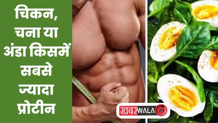 Gram Vs Chicken vs Egg Which Have More Protein