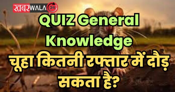 QUIZ General Knowledge