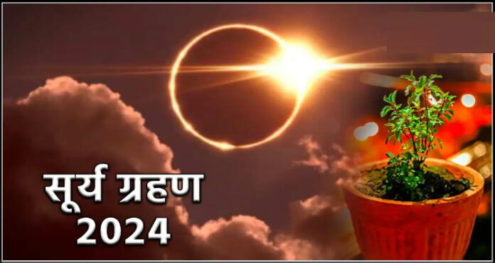 Solar Eclipse Mistakes Related to Tulsi