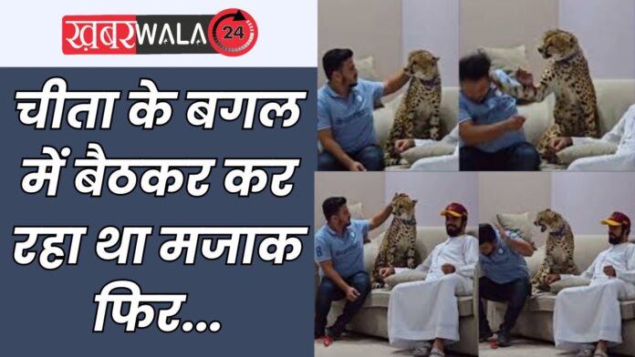 Cheetah Attack Viral Video