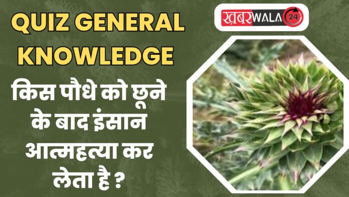 QUIZ General Knowledge