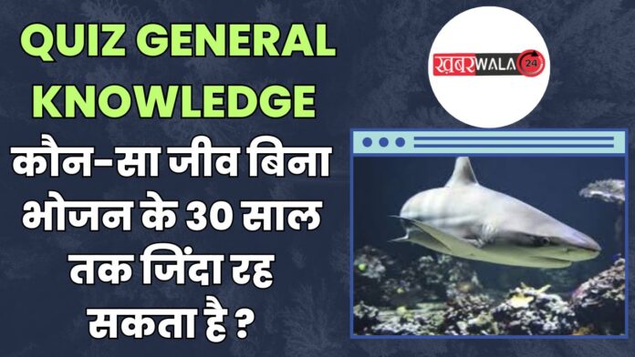 QUIZ General Knowledge