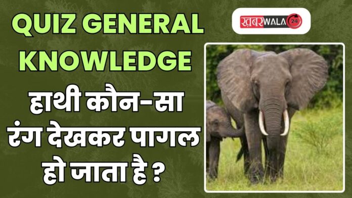 QUIZ General Knowledge