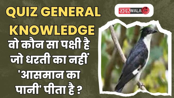 QUIZ General Knowledge