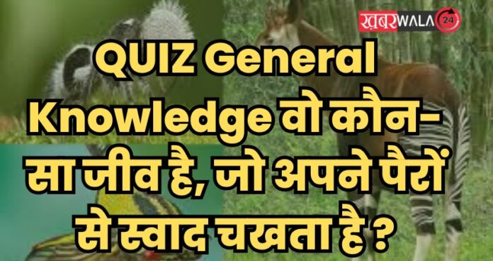 QUIZ General Knowledge