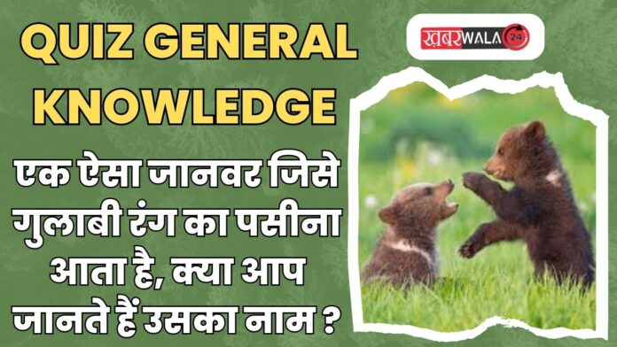 QUIZ General Knowledge