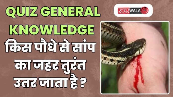 QUIZ General Knowledge