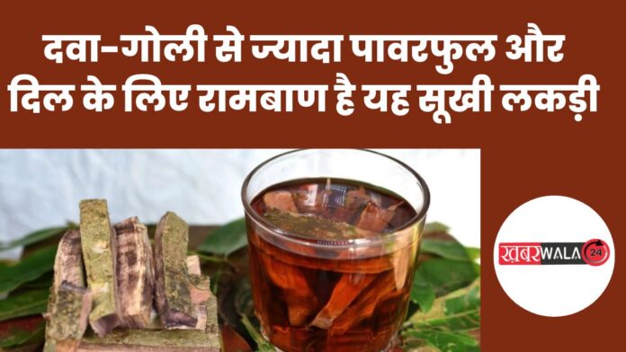 Benefits of Arjuna Bark