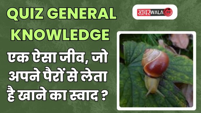 QUIZ General Knowledge