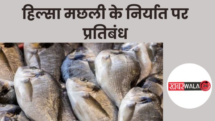 Hilsa Fish Export Ban