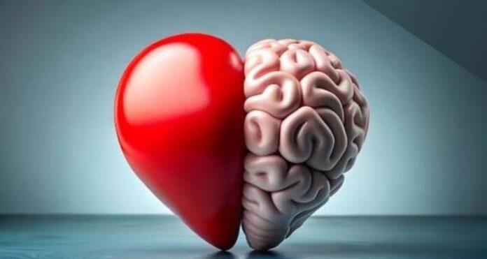 Heart Brain Study Reveal