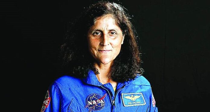 Dolphins welcome Sunita Williams